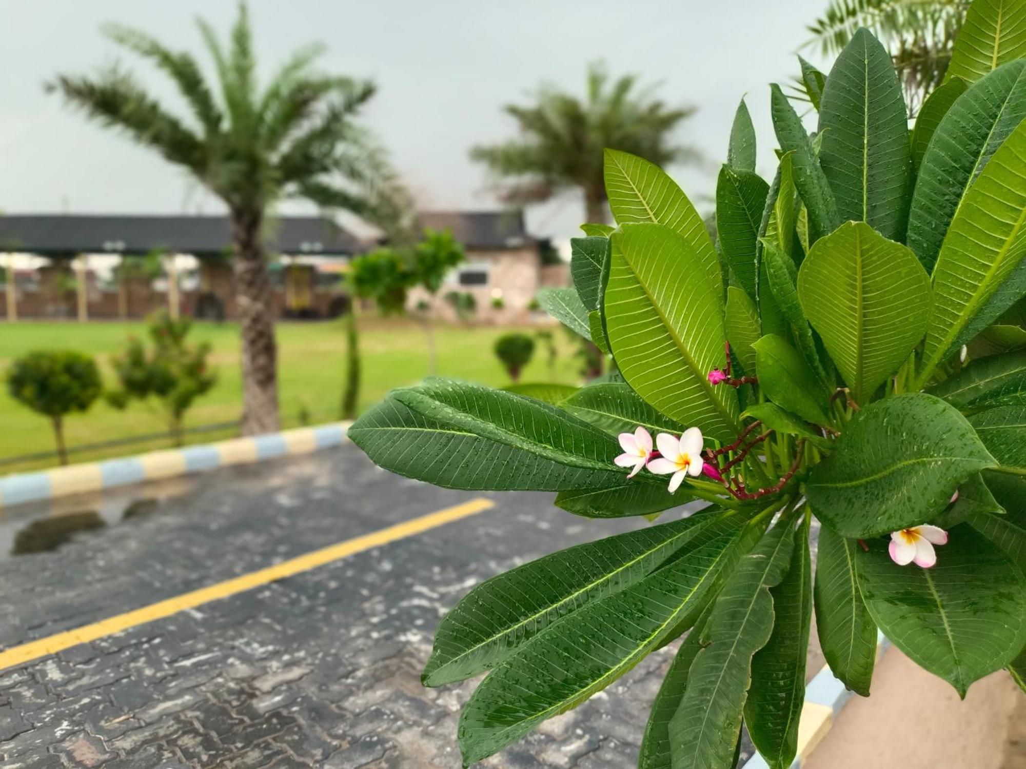 Royal Rajasthan Resort Sikar Exterior foto